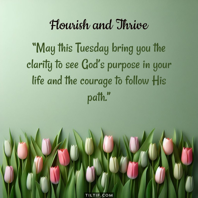 May this Tuesday bring you the clarity to see God's purpose in your life and the courage to follow His path.