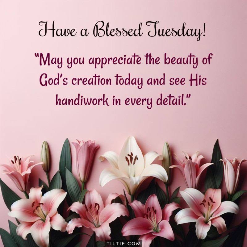 May you appreciate the beauty of God's creation today and see His handiwork in every detail. Have a blessed Tuesday!