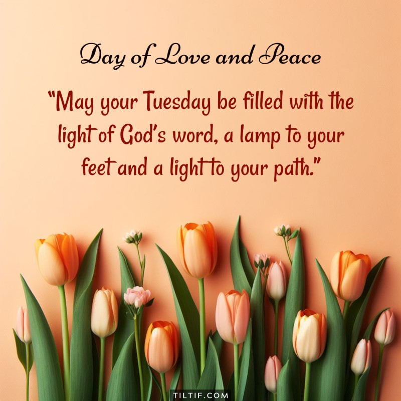 May your Tuesday be filled with the light of God’s word, a lamp to your feet and a light to your path.