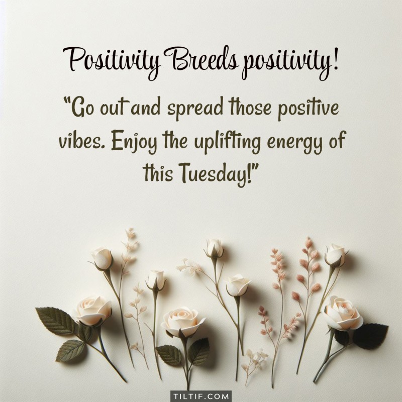 Positivity breeds positivity! Go out and spread those positive vibes. Enjoy the uplifting energy of this Tuesday!