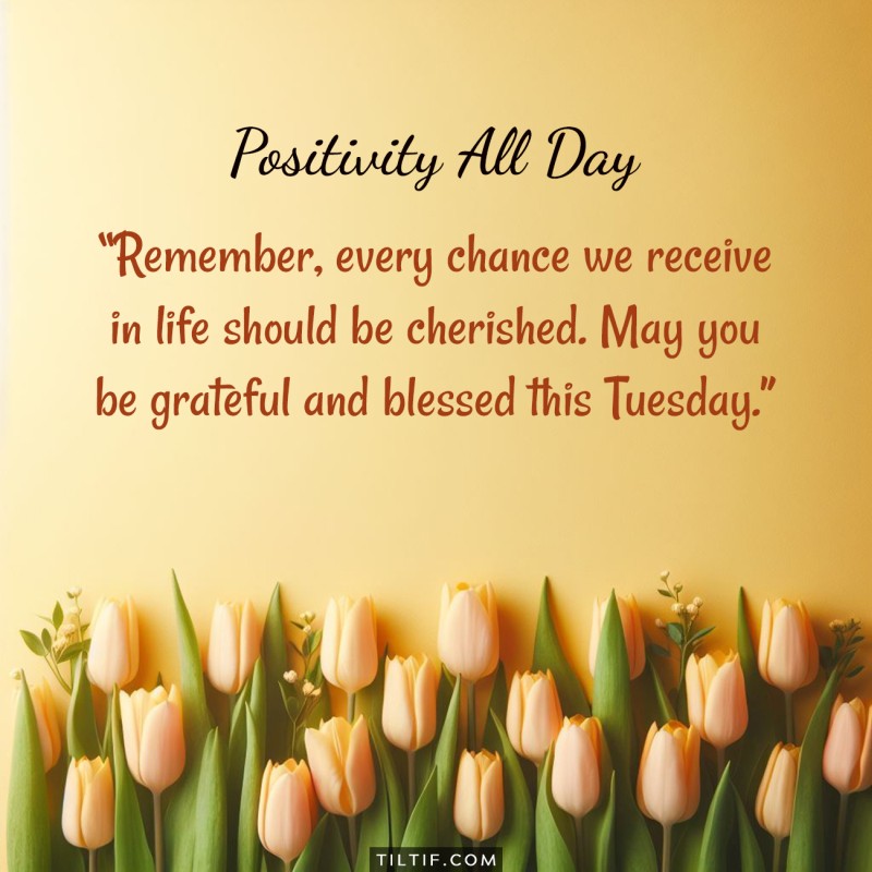 Remember, every chance we receive in life should be cherished. May you be grateful and blessed this Tuesday.