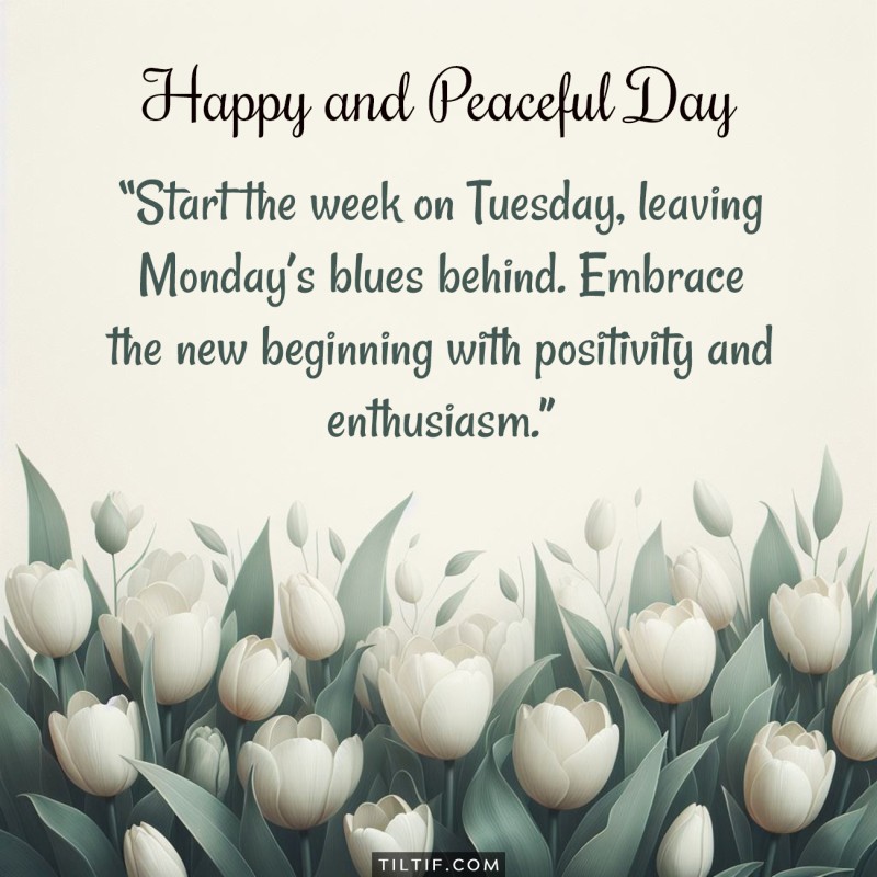 Start the week on Tuesday, leaving Monday's blues behind. Embrace the new beginning with positivity and enthusiasm.