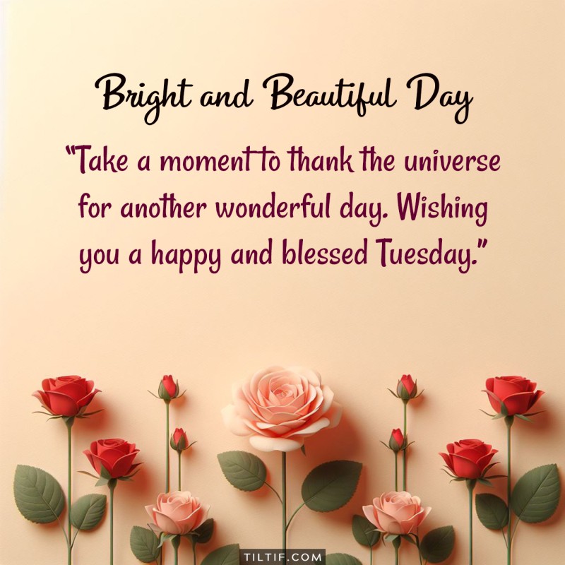 Take a moment to thank the universe for another wonderful day. Wishing you a happy and blessed Tuesday.