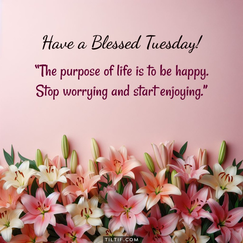 The purpose of life is to be happy. Stop worrying and start enjoying. Have a blessed Tuesday!