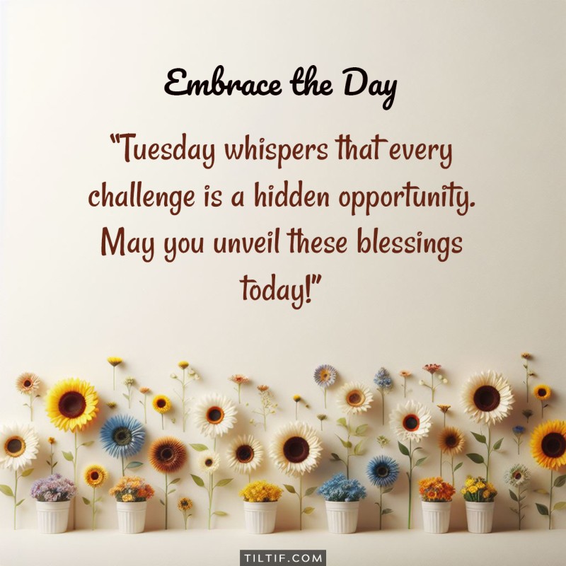 Tuesday whispers that every challenge is a hidden opportunity. May you unveil these blessings today!