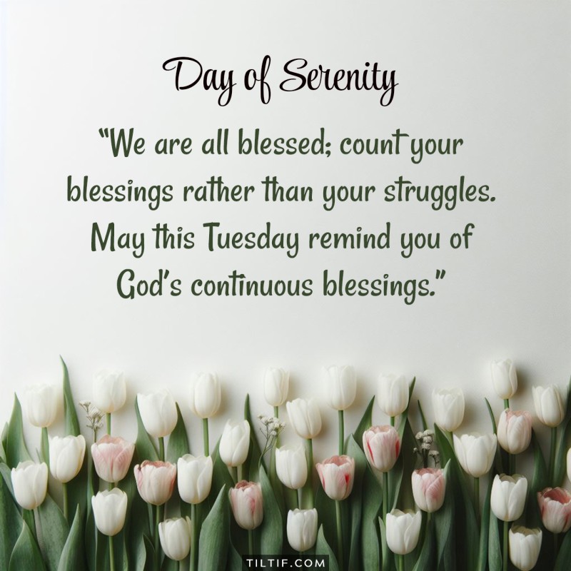 We are all blessed; count your blessings rather than your struggles. May this Tuesday remind you of God's continuous blessings.