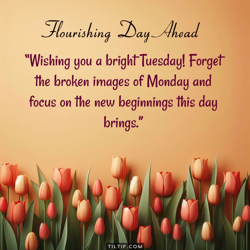 Wishing you a bright Tuesday! Forget the broken images of Monday and focus on the new beginnings this day brings.