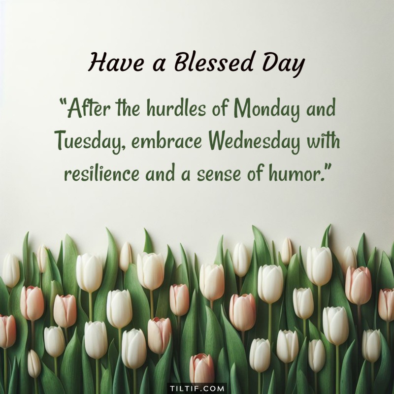 After the hurdles of Monday and Tuesday, embrace Wednesday with resilience and a sense of humor.