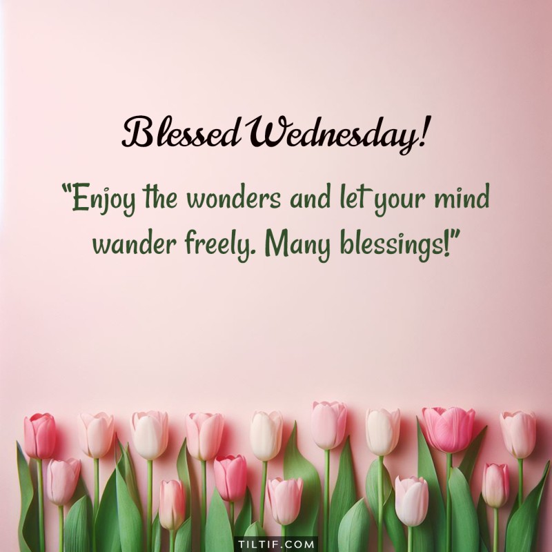 Blessed Wednesday! Enjoy the wonders and let your mind wander freely. Many blessings!