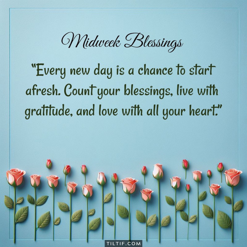 Every new day is a chance to start afresh. Count your blessings, live with gratitude, and love with all your heart.