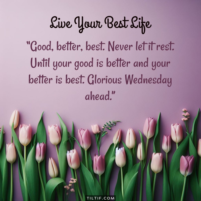 Good, better, best. Never let it rest. Until your good is better and your better is best. Glorious Wednesday ahead.