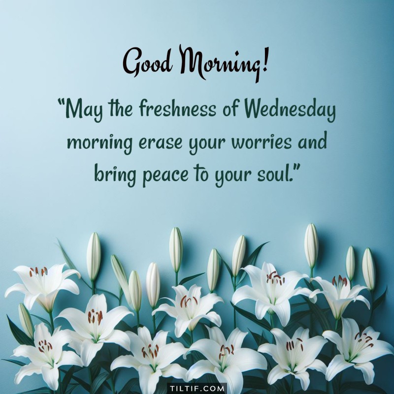 Good Morning! May the freshness of Wednesday morning erase your worries and bring peace to your soul.