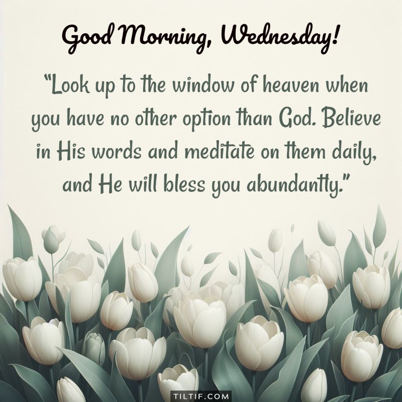 Good Morning, Wednesday! Look up to the window of heaven when you have no other option than God. Believe in His words and meditate on them daily, and He will bless you abundantly.