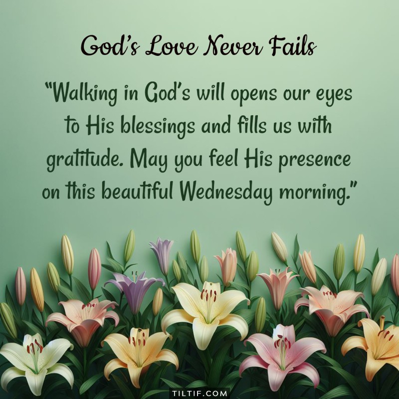 Walking in God’s will opens our eyes to His blessings and fills us with gratitude. May you feel His presence on this beautiful Wednesday morning.